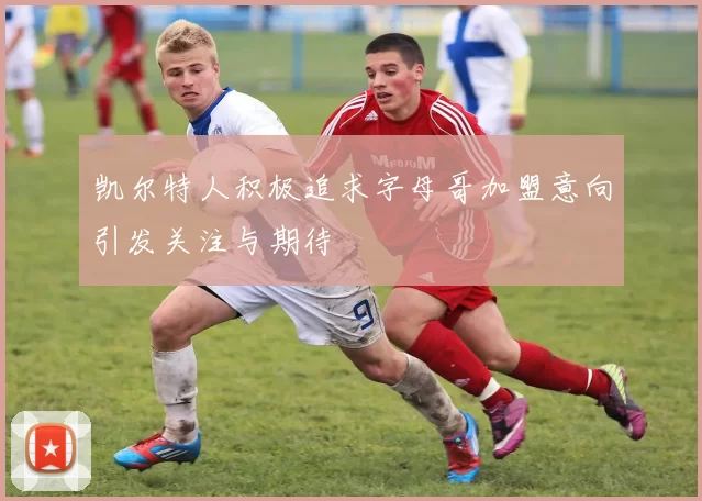 凯尔特人积极追求字母哥加盟意向引发关注与期待