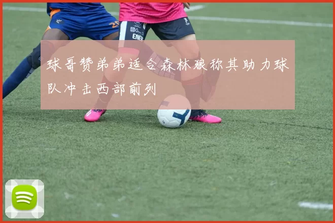 球哥赞弟弟适合森林狼称其助力球队冲击西部前列