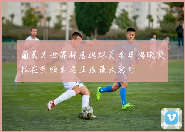 葡萄牙世界杯落选球员名单揭晓莫拉在列帕利尼亚成最大意外